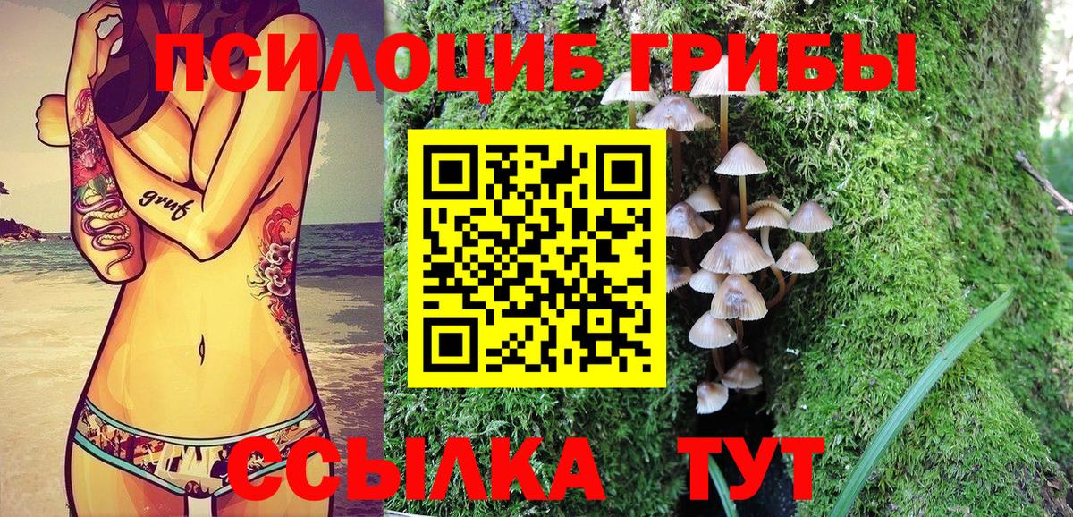 Псилоцибиновые грибы ЛСД  Вход с VPN  Владивосток 