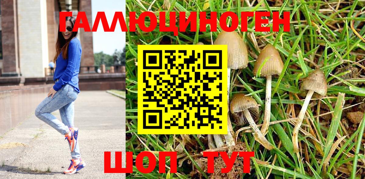 Псилоцибиновые грибы Psilocybine cubensis Владивосток